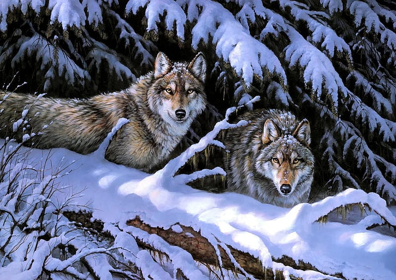 Wolves, painting, lup, rosemary millette, wolf, couple, winter, iarna, art, snow, pictura, HD wallpaper