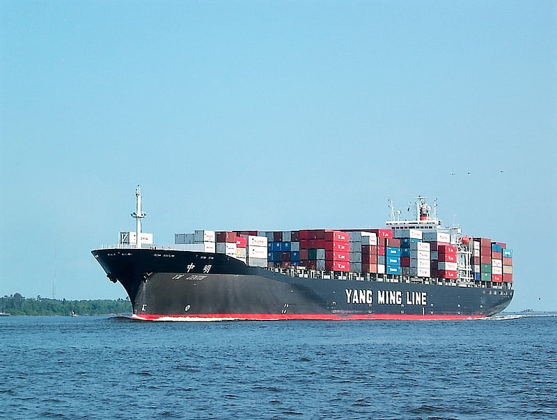 Container Ship, Port of Jacksonville, Florida, St Johns River, Yang Ming Line, HD wallpaper