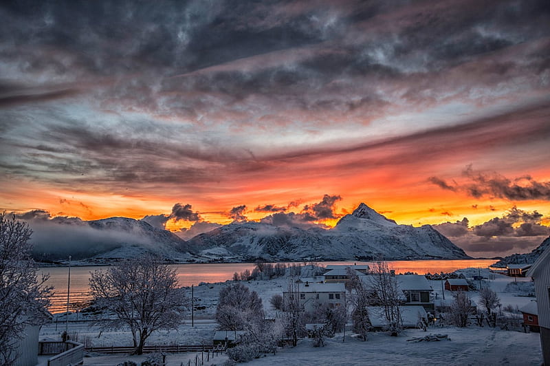 December Daylight, North Norway, red, houses, town, yellow, bonito, sunset, trees, sky, clouds, winter, snow, mountains, fjord, white, HD wallpaper