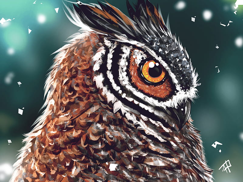 owl, bird, art, head, eye, beak, HD wallpaper