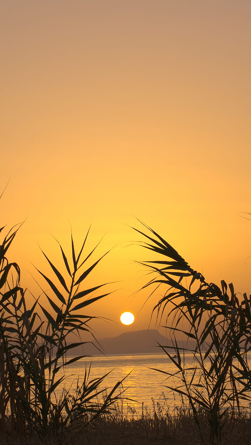 Sunset over Crete, beach, greece, island, sea, silhouette, HD phone wallpaper
