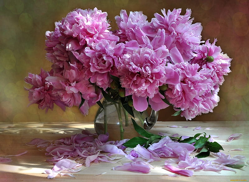 Peonies, peony, still life, bouquet, flower, vase, spring, petals, pink, HD wallpaper