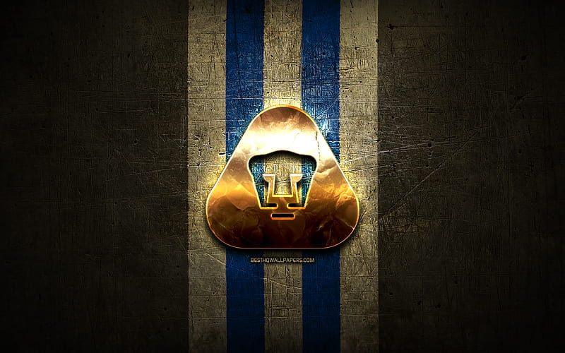 Pumas UNAM FC, golden logo, Liga MX, brown metal background, football, Club  Universidad Nacional, HD wallpaper | Peakpx