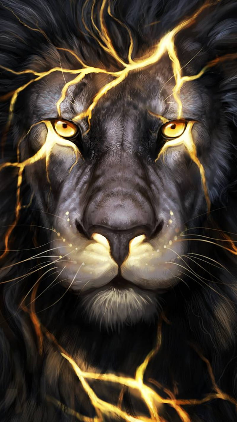 Magma lion, animal, black, face, gold, lioness, lions, panther, white, HD phone wallpaper