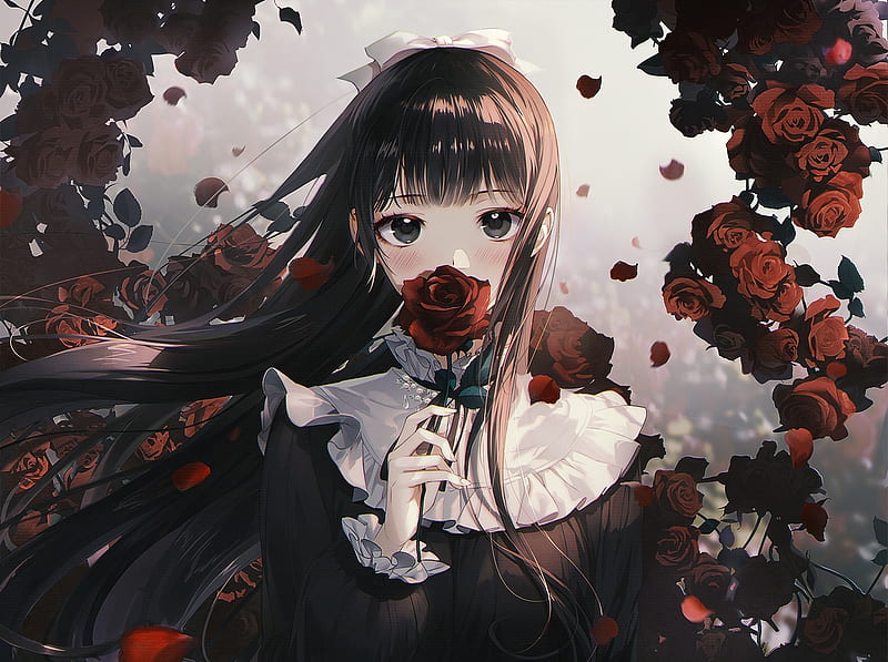 Breathing Rose, Lovely, bonito, Girl, Rose, Daby, Red, Black Dress, Anime, Black Hair, Cute, White Ribbon, Long Hair, HD wallpaper