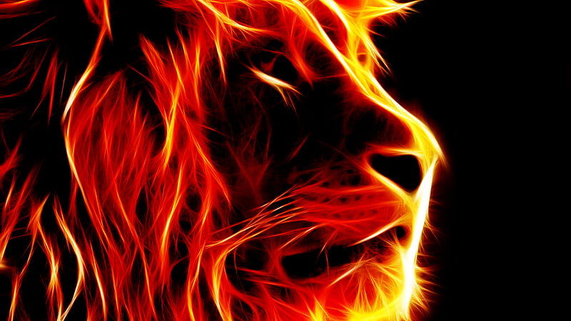 Artistic Lion Face Like Fire Flame Lion, HD wallpaper