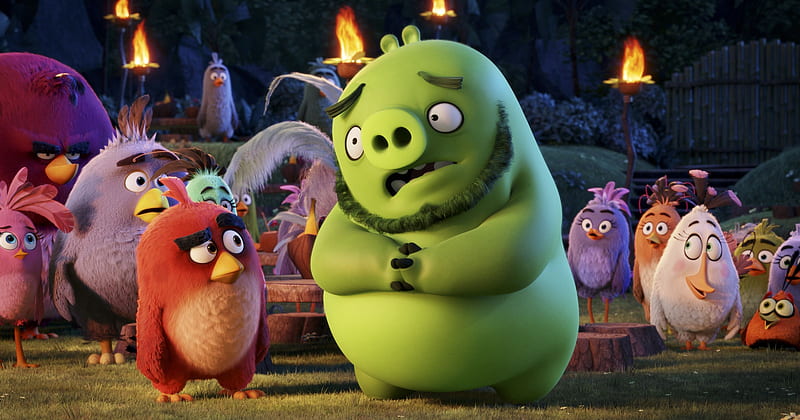 Angry Birds Movie 2016, angry-birds, birds, movies, animated-movies, 2016-movies, the-angry-birds-movie, HD wallpaper