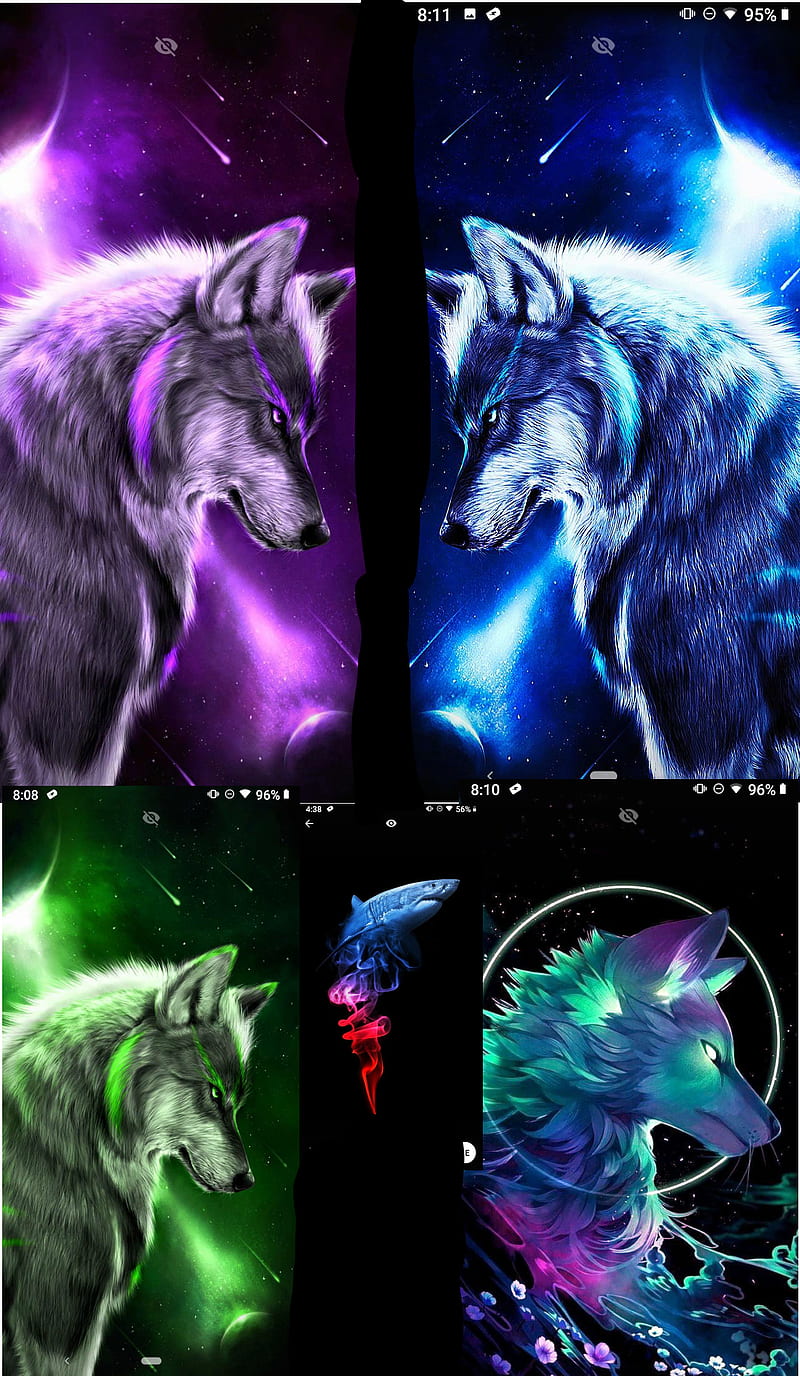 Wolf, guardians, king, pack, shark, HD phone wallpaper | Peakpx