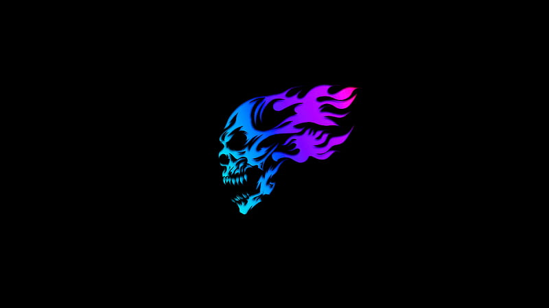 Skull Glowing Minimal Neon , skull, minimalism, minimalist, artist, artwork, digital-art, dark, black, HD wallpaper