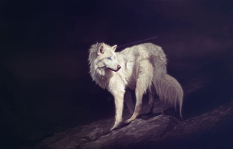 Mistress of the dark, digital art, art, fantasy white wolf, wolf, wolves, HD wallpaper