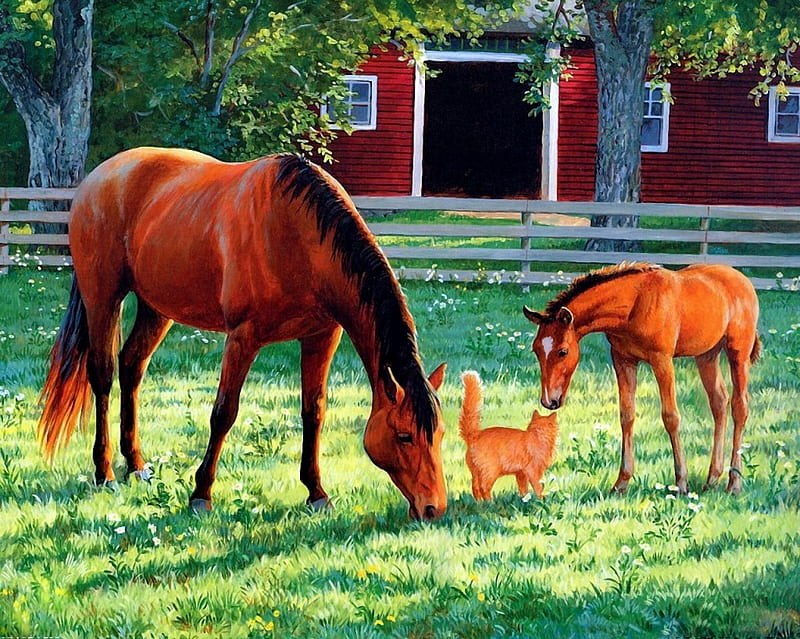 Visitors, fence, grass, pasture, foal, cat, trees, horse, barn, HD wallpaper