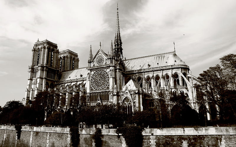 Notre Dame de Paris, architecture, cathedral, monuments, paris, black and white, bonito, medieval, france, HD wallpaper