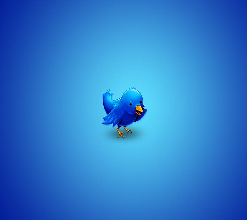 cool, blue, twitter, HD wallpaper