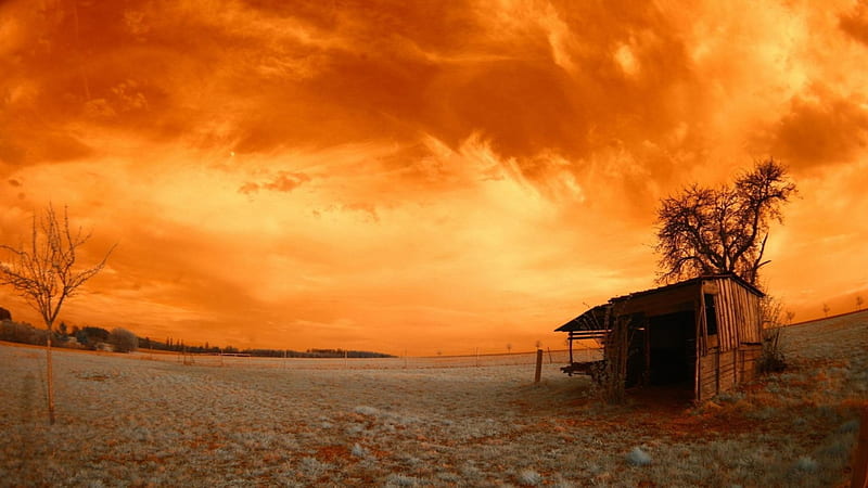 abandoned shack under orange sky, grass, orange, shack, sky, field, abandoned, HD wallpaper