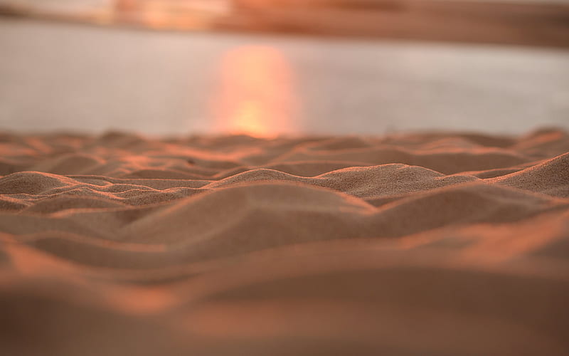 sand, beach, sunset, sand dunes, sand waves, HD wallpaper