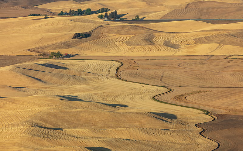 Aerial View, Rolling Hills, Farmland Ultra, Nature, Landscape, Above, View, Summer, Farm, Land, Field, Wheat, Washington, Outdoor, Rural, Agricultural, Hills, Palouse, farmland, Country, canon, Countryside, Agriculture, Cultivation, windingroad, canoneos5dsr, 5dsr, agricultureindustry, farmfield, farmlandscape, rollinghills, rollinghillsandfarms, HD wallpaper