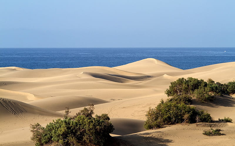 Sand Dunes in Gran Canaria, sand, island, dunes, ocean, HD wallpaper