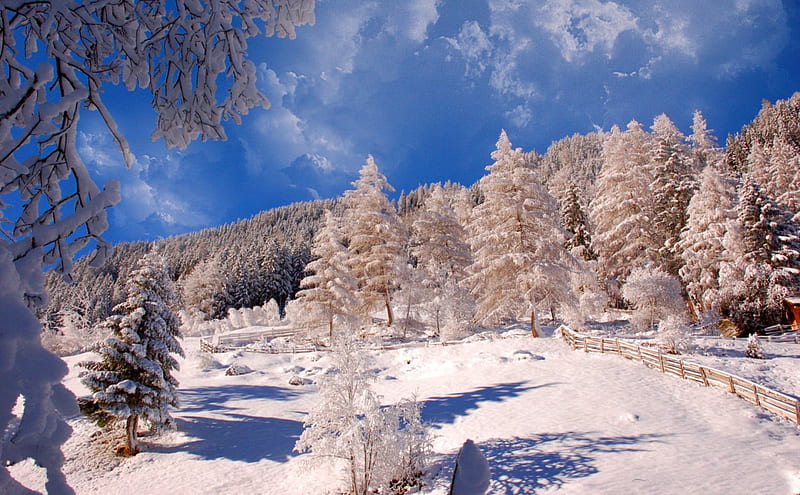 Winter, cols, lovely, bonito, trees, sky, clouds, mountain, snow, slope, frost, HD wallpaper
