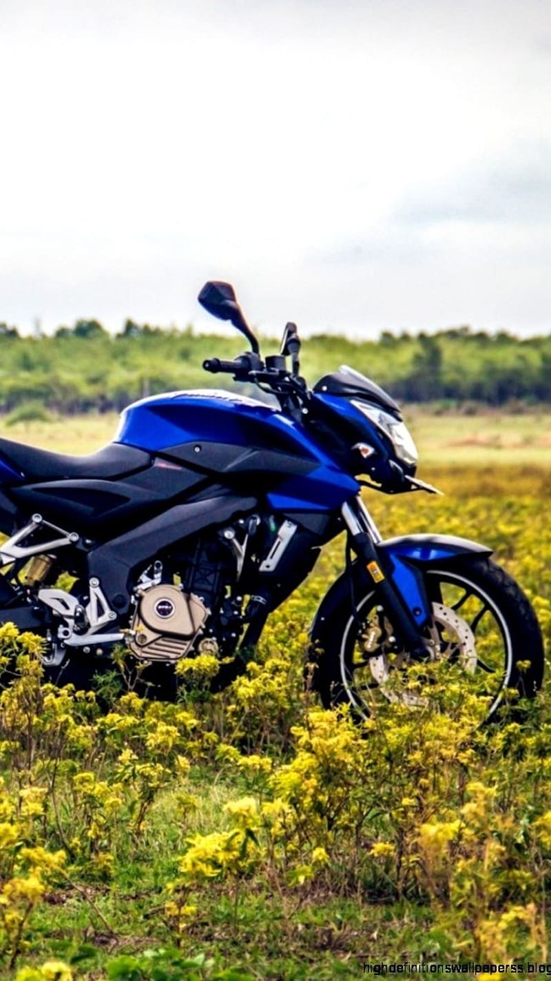 Ns 200, Blue Colour, bike, racing, plants, speed, side look, HD ...