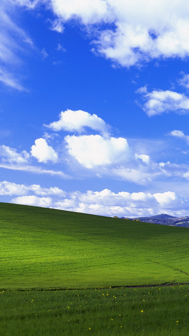Bliss, field, hills, nature, sky, windows, xp, HD phone wallpaper | Peakpx