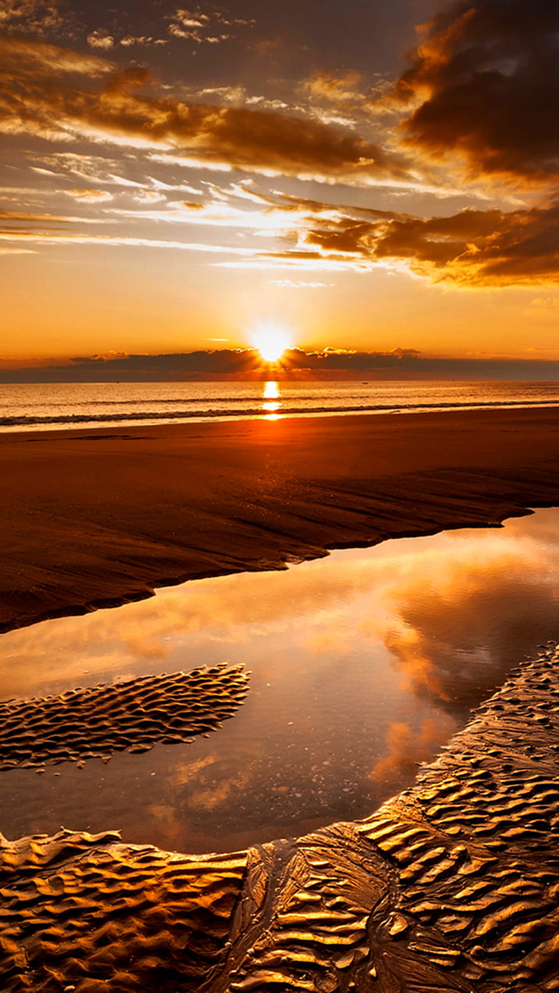 Golden Sunset, beach, HD phone wallpaper