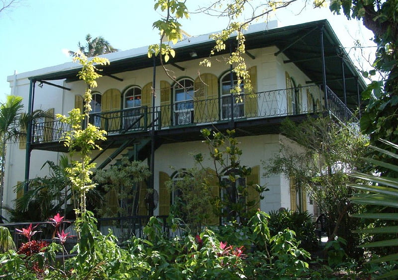 the Hemingway House in Key West Florida, florida, house, west, hemingway, key, HD wallpaper