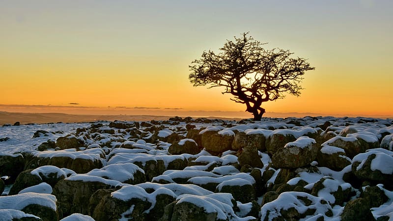 Twislecon Scar, North Yorkshire, England, colors, sky, tree, winter, landscape, snow, HD wallpaper