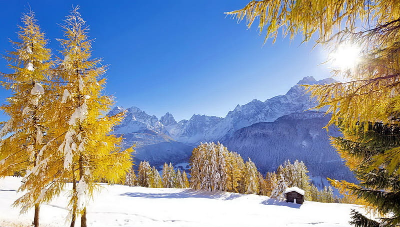 Dolomites, Italy, dolomites, trees, sky, larch, forest, hut, sun, view, Italy, bonito, mountain, snow, HD wallpaper