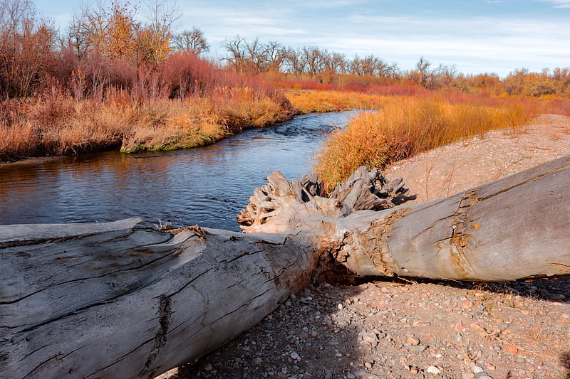Big Thompson River in Loveland Colorado, fall, water, autumn, colors, sky, trees, wood, HD wallpaper