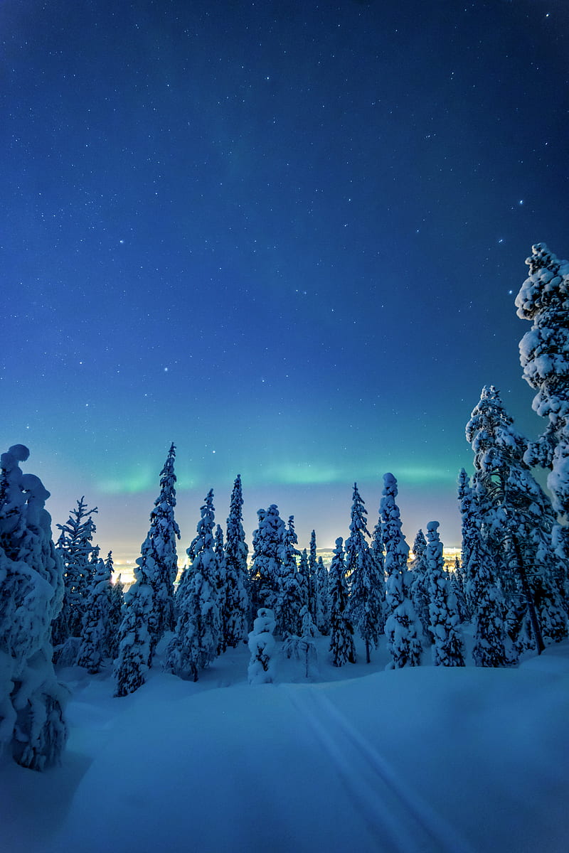 trees, snow, winter, night, landscape, HD phone wallpaper