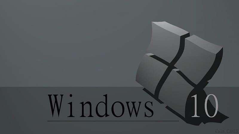 Windows 10 Gray - (flat), dalearsi, 1920x1080, Gray, Flat, Cain Canis, da Learsi, windows 10, Windows, Caincanis, HD wallpaper