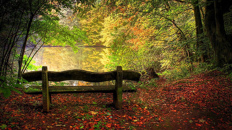 Wood Bench On Sand With Dry Leaves And Lanscape View Of River Surrounded By Autumn Fall Leafed Trees Reflection On Water Nature, HD wallpaper