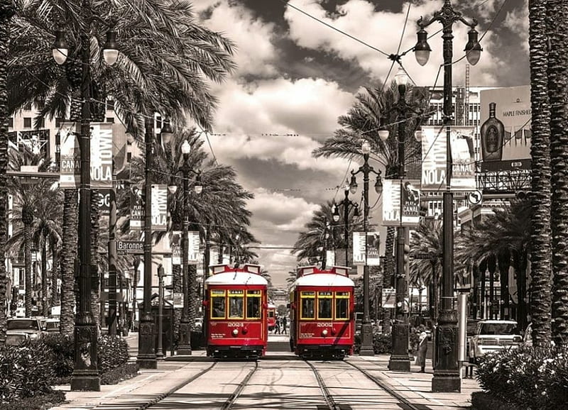 New Orleans Streetcars, tram, city, houses, trees, artwork, HD wallpaper