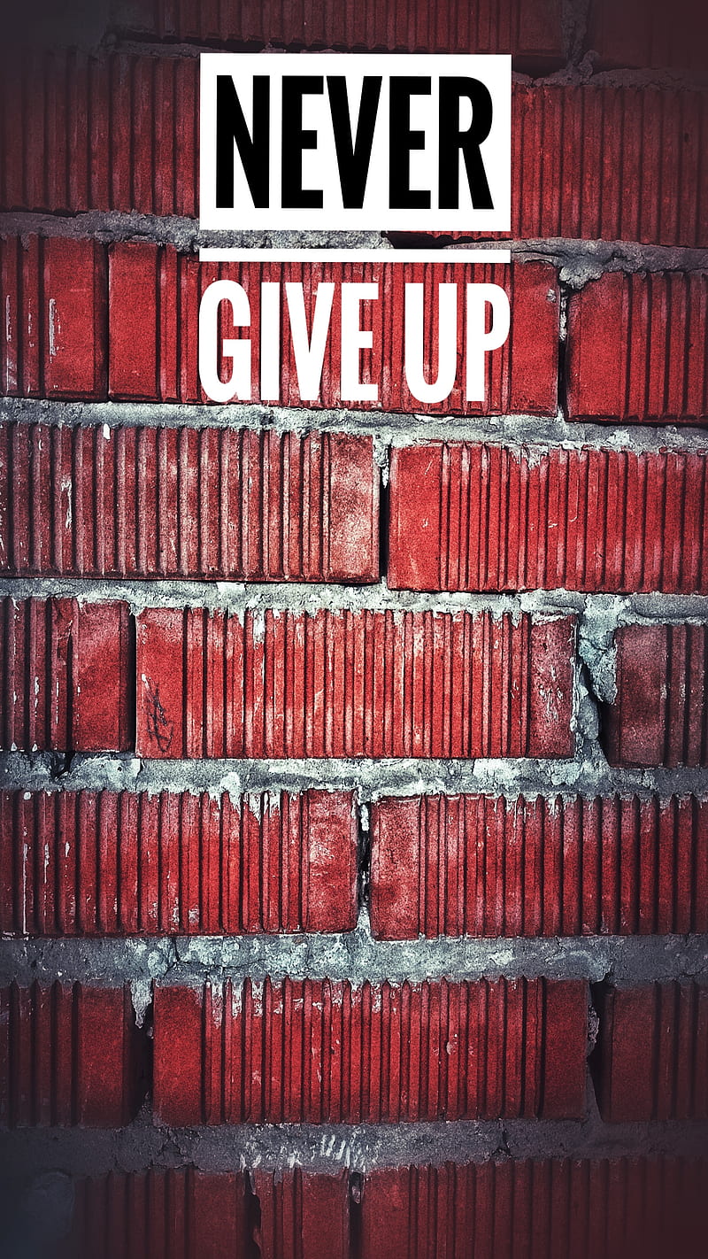 Never give up, Brick, Katphone, Red, Wall, motivation, spirit, strong, text, HD phone wallpaper
