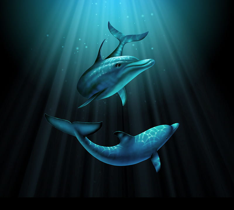 Porpoise, dolphins, rays, glide, swim, ocean, blue, light, HD wallpaper
