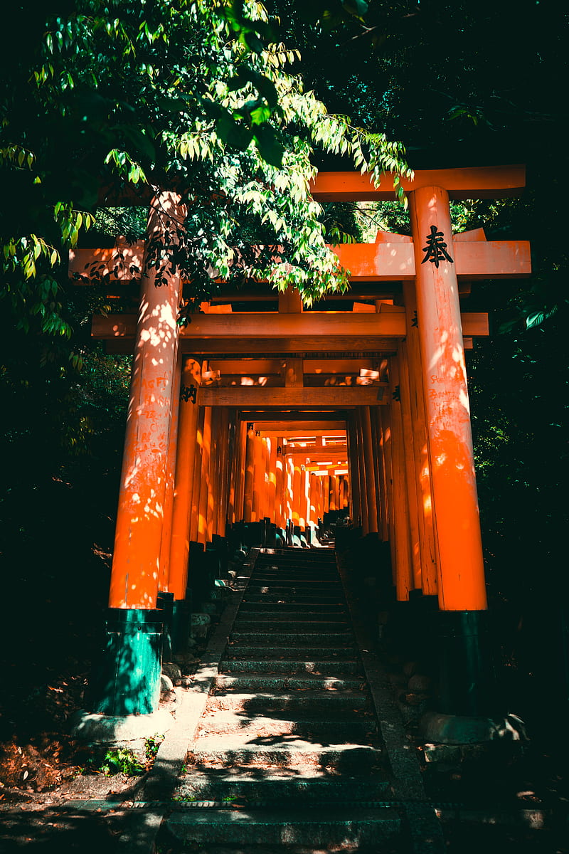 torii, gate, japan, stairs, HD phone wallpaper