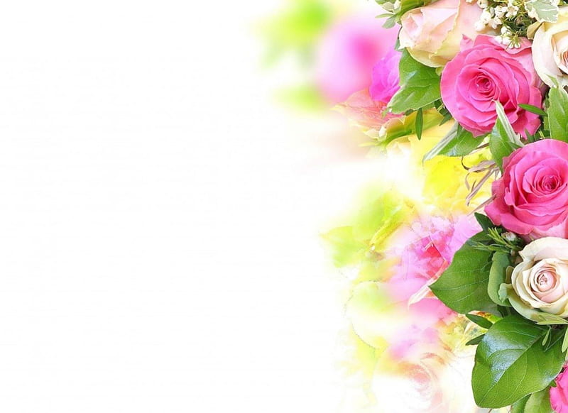 Lovely corner, corner, lovely, flowers, petals, roses, brigthess, pink, HD wallpaper