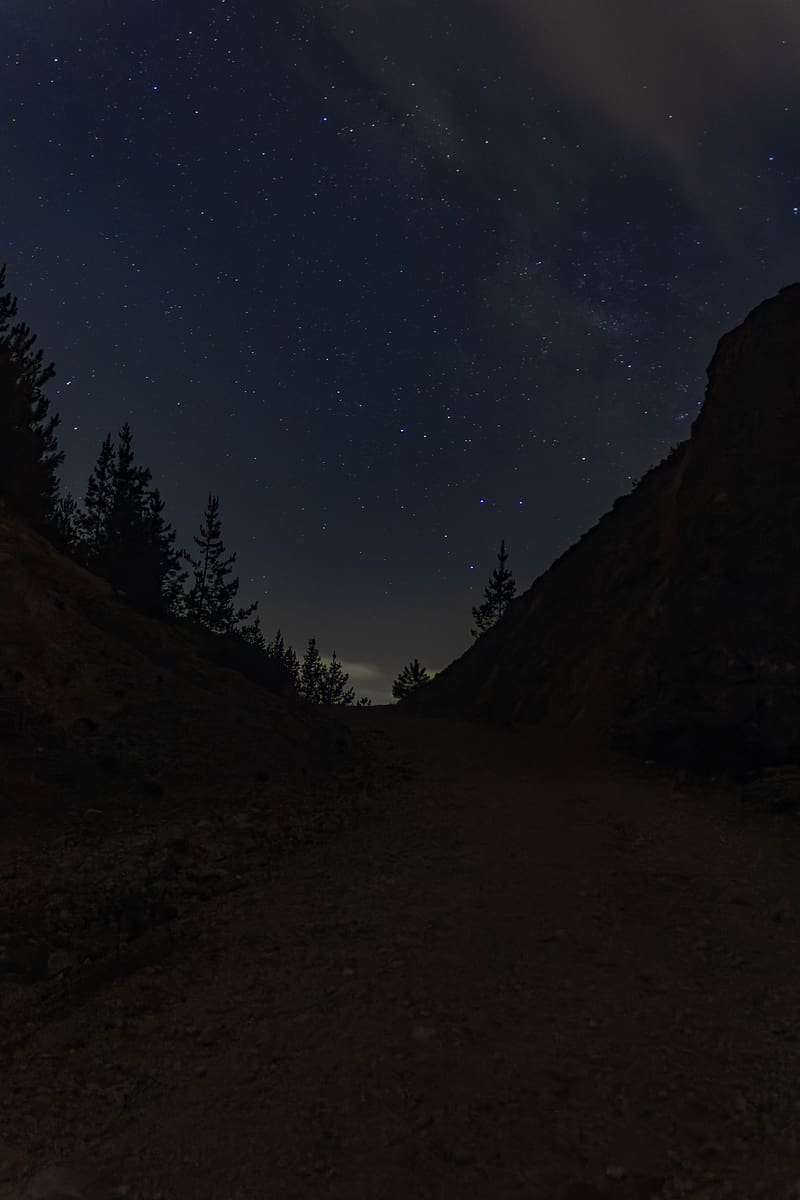 trail, slope, trees, night, stars, HD phone wallpaper