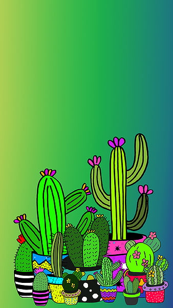 Cute Cactus Wallpapers  Top Free Cute Cactus Backgrounds  WallpaperAccess