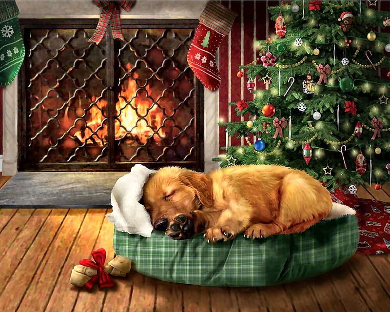 My Christmas Wishes - Dog F1C, Christmas, art, holiday, December, bonito, pets, illustration, artwork, canine, animal, painting, wide screen, occasion, dogs, HD wallpaper