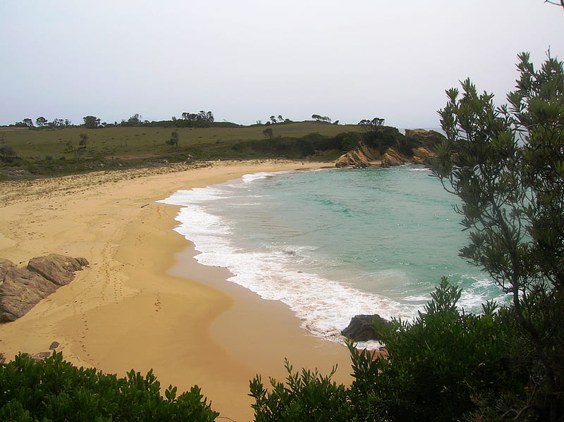 Smuggler's Cove, rocks, ocean, waves, trees, sea, beach, private, sand, cliff, HD wallpaper