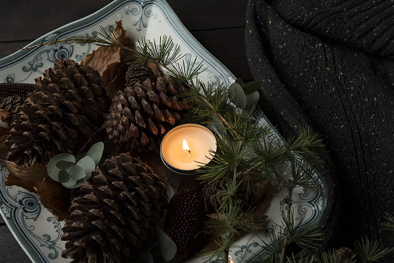 lighted candle on plate beside the pinecones, HD wallpaper