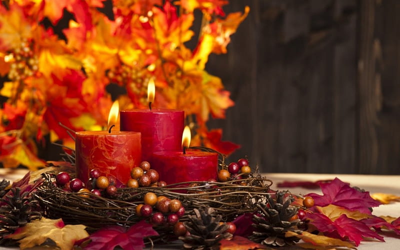 Still Life, candle, autumn, leaves, HD wallpaper