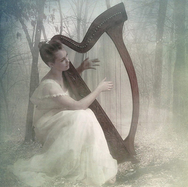 Forest Hymn, forest, fantasy, hymn, harp, musical, fairy, HD wallpaper