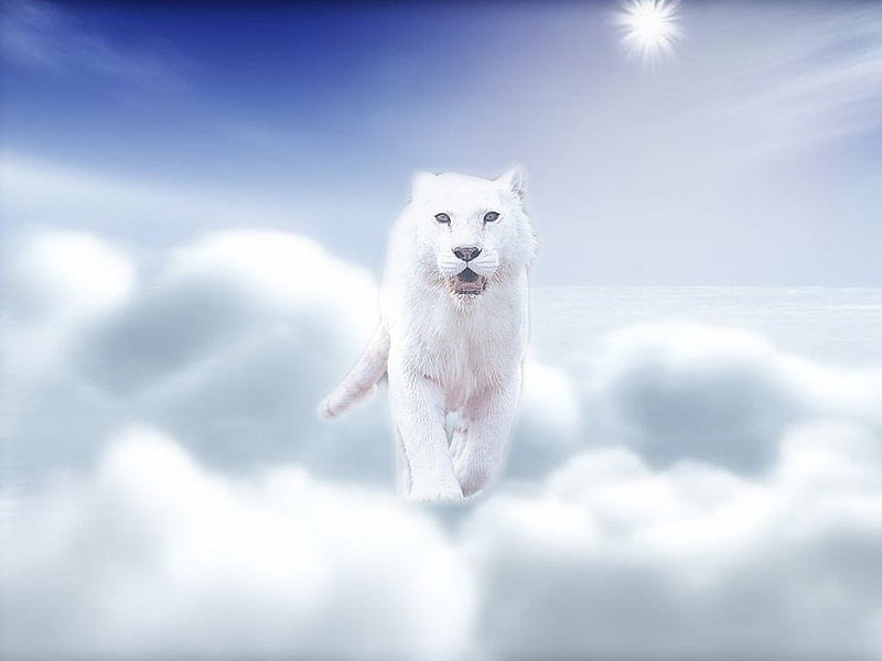 Angel Cat, art, white tigers, tigers, cat, paintings, white lions, cats, lions, big cats, animals, HD wallpaper