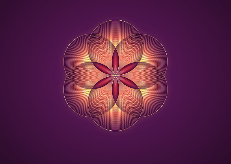 Seed of life symbol Sacred Geometry. Gold Logo icon Geometric mystic mandala of alchemy esoteric red Flower of Life. Interlaced circles, vector divine meditative amulet isolated on purple background 6327289 Vector Art, HD wallpaper