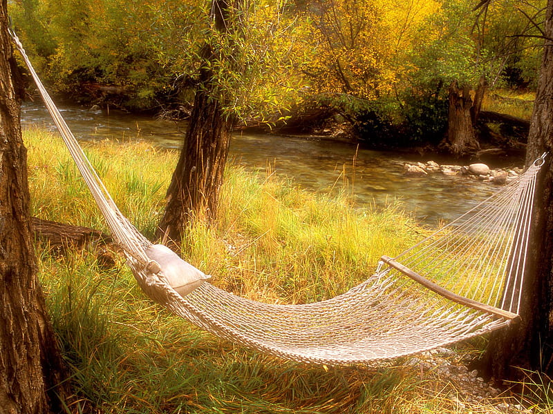 Take a rest, tree, green, grass, autmn, yellow, river, string bed, HD wallpaper