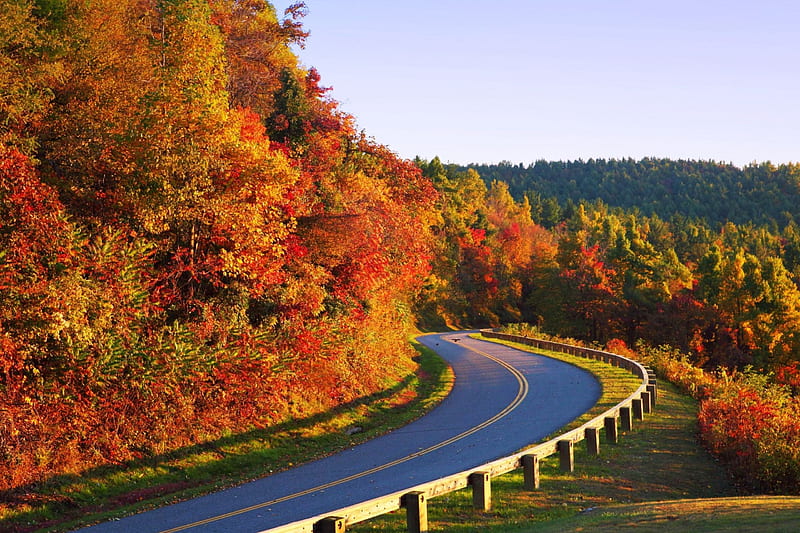 Blue Ridge Parkway, Virginia, forest, fall, autumn, Mountains, usa, colors, road, trees, HD wallpaper