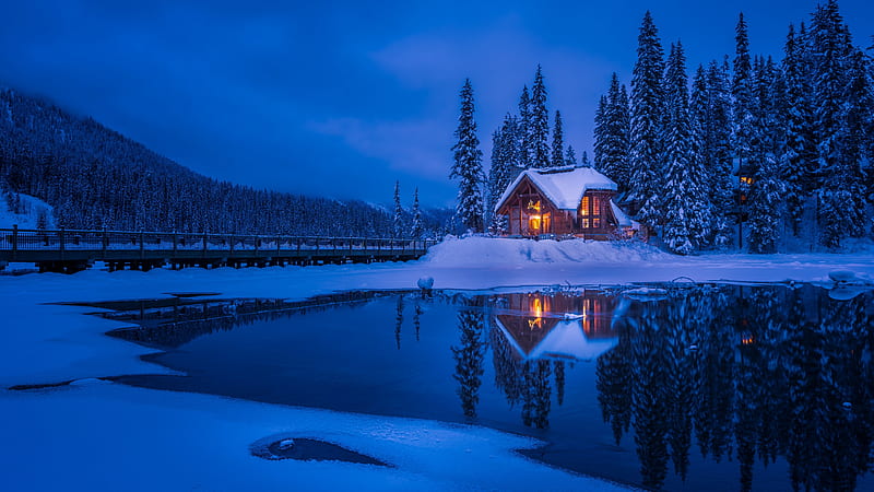 Forest House Covered in Snow, HD wallpaper