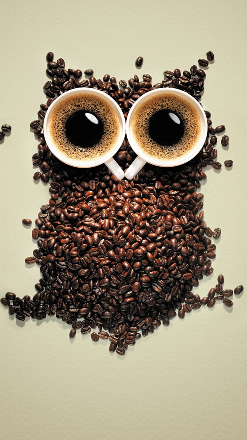 Coffee owl, cute, drink, eyes, food, funny, life, love, HD phone wallpaper